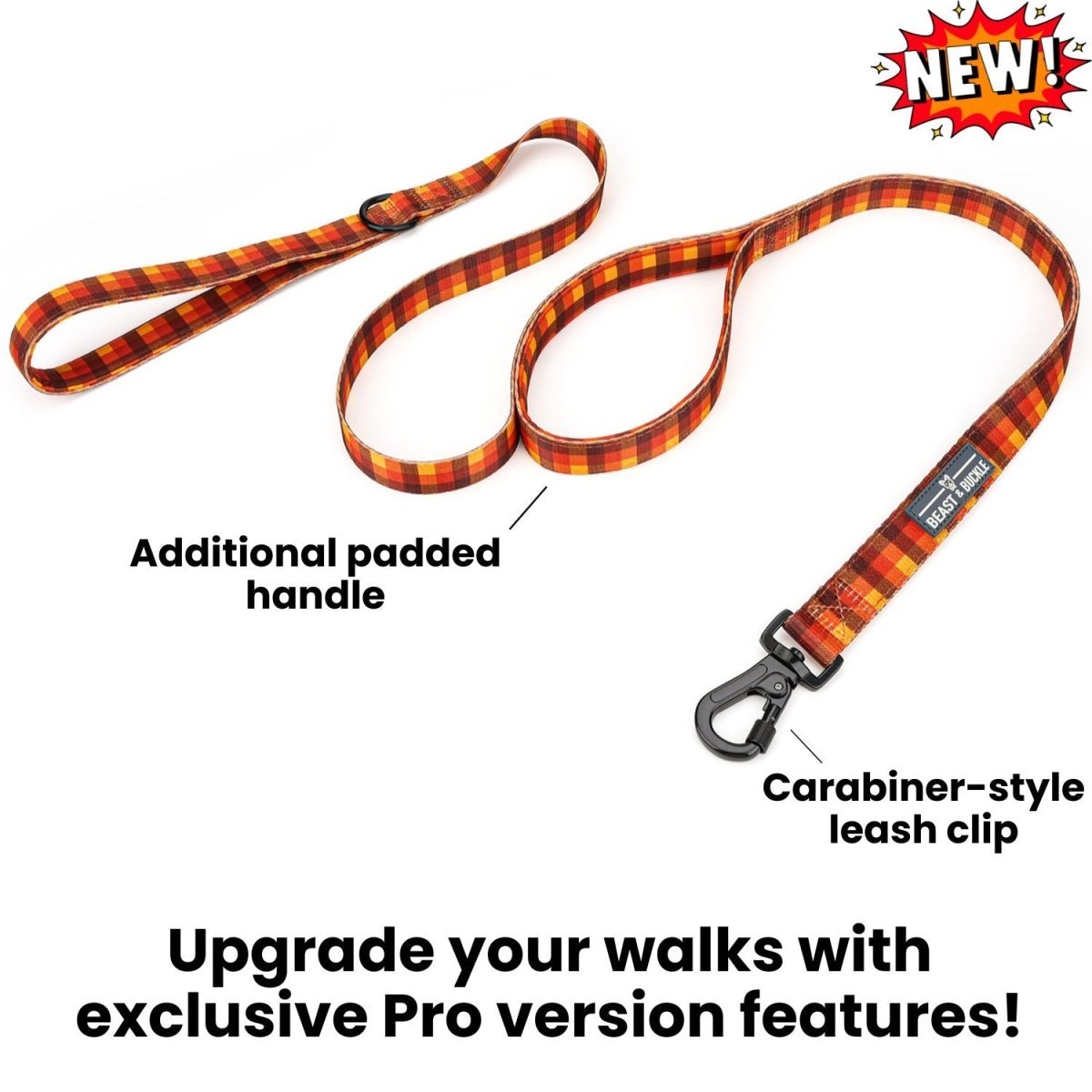 Leash with padded handle