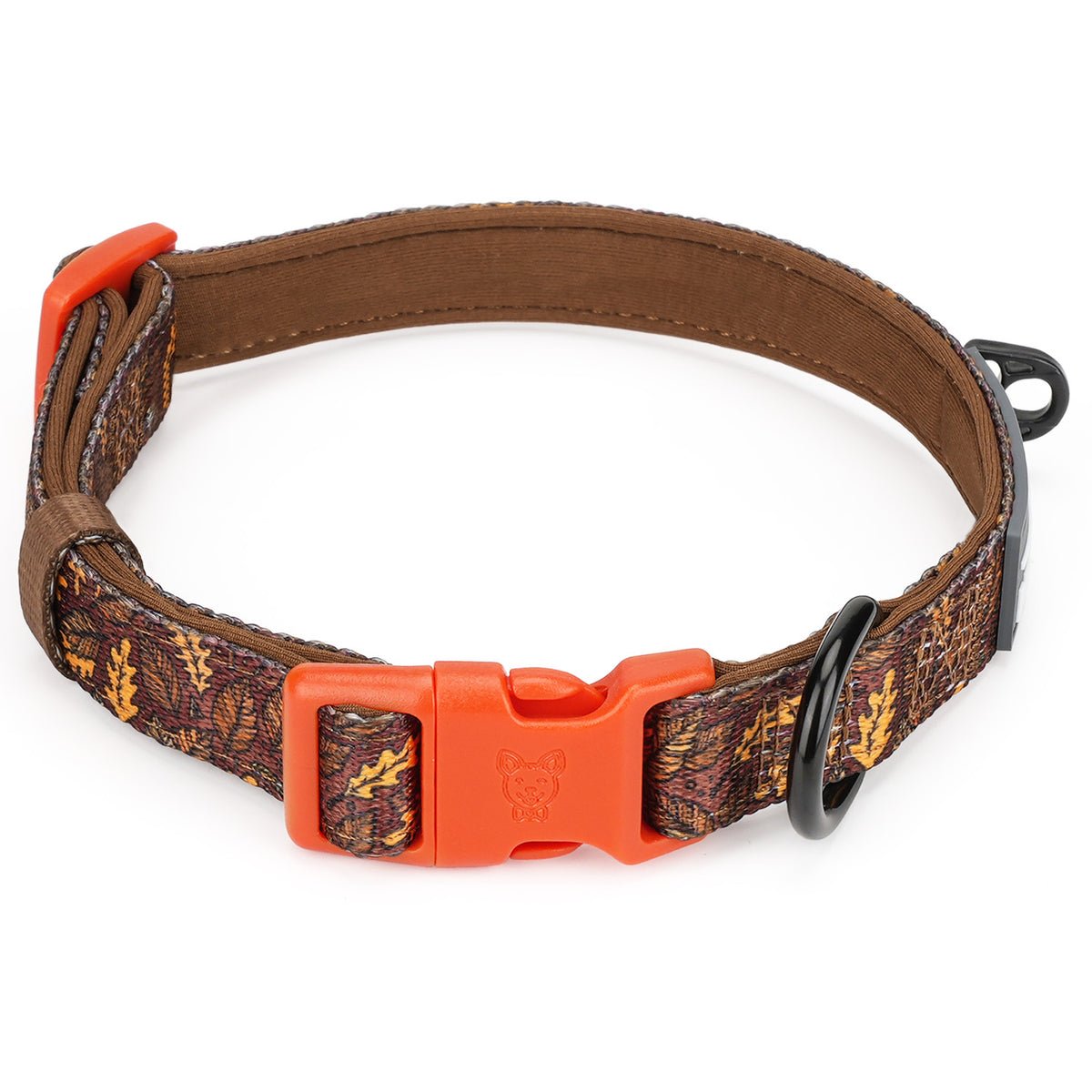 Autumn Vibes collar